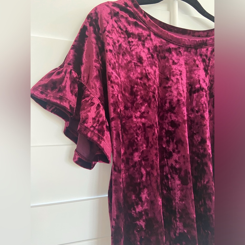 Z SUPPLY Crushed Velvet Blouse - Picture 3 of 4